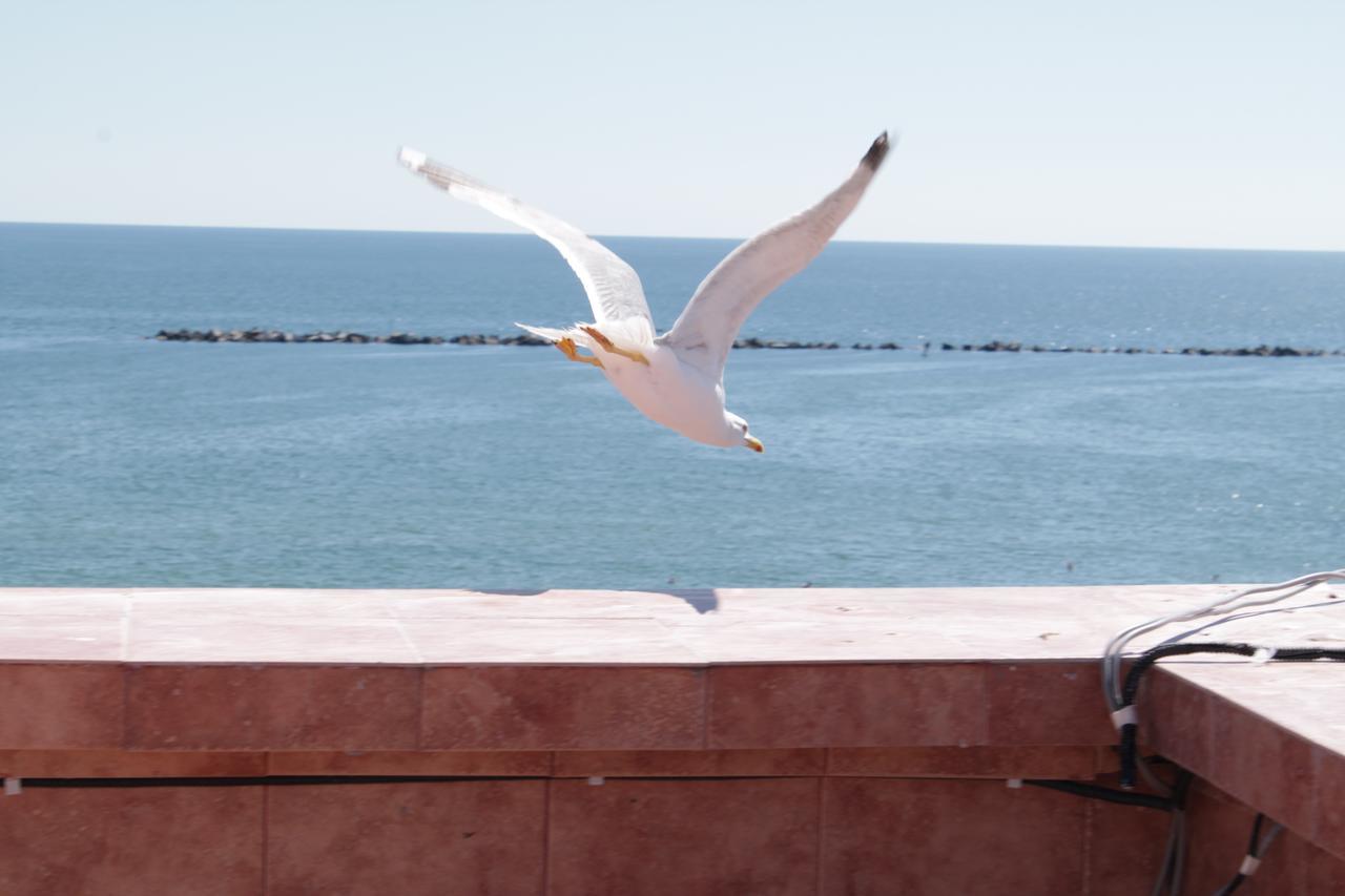 Hotel Ges Mamaia Exterior photo